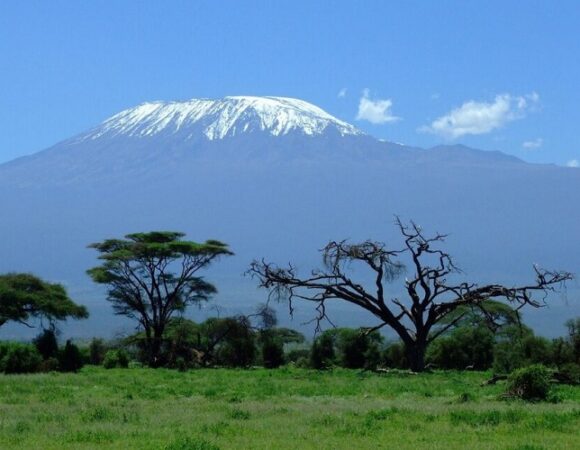 10 Days 9 Nights Mount Kilimanjaro (Lemosho Route)