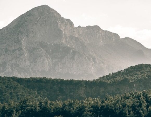 Sirimon – Narumoru Route