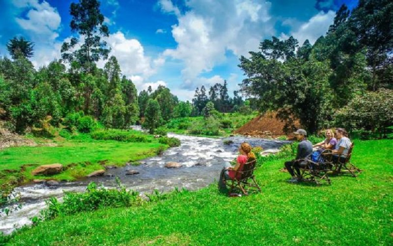 2-Day Aberdare Fishing Lodge Escape