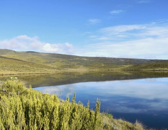 Lake Ellis 2-Day Hike Package