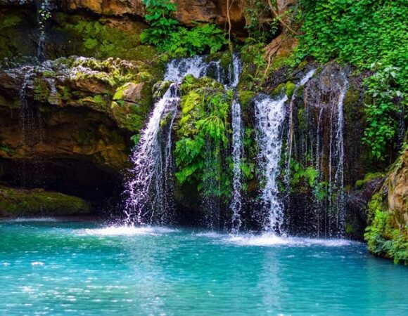 Day Trip to Ngare Ndare Forest