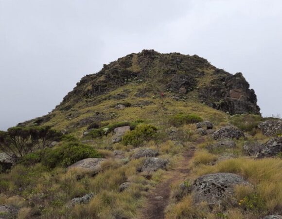 Challenge the Rurimueria