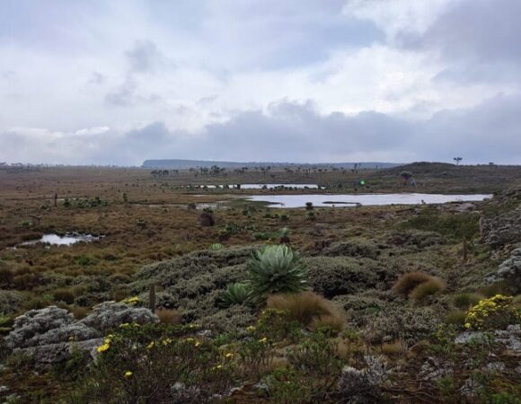 Conquer the Seven Ponds