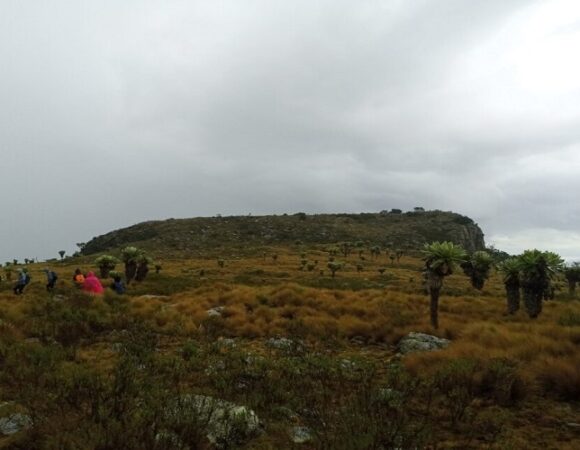 Day Trip to Table Mountain Aberdares