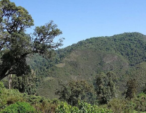 Day Hike to Mount Kipipiri